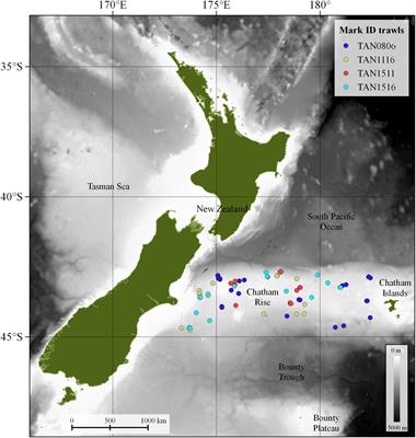 Acoustic Assessment of the Micronekton Community on the Chatham Rise, New Zealand, Using a Semi-Automated Approach